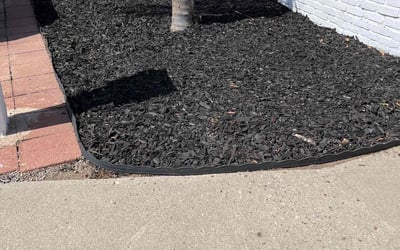 Photo of Sean C.'s yard after getting tree care in San Marcos, CA