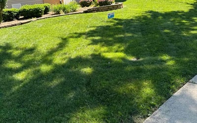 Photo of Connie B.'s yard after getting lawn care in Oak Forest, IL