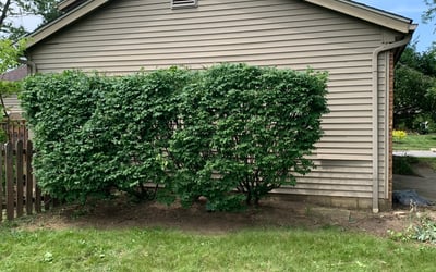 Photo of Suzanne B.'s yard after getting landscaping in Stoutsville, OH