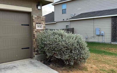 Photo of Jose M.'s yard after getting landscaping in Rio Medina, TX