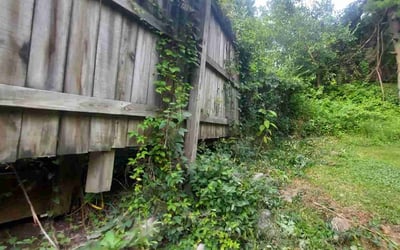 Photo of Reina M.'s yard after getting tree care in Clairton, PA