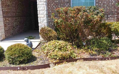 Photo of Deborah W.'s yard after getting landscaping in Greenwood, TX