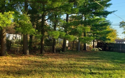 Photo of Carl M.'s yard after getting landscaping in Baltimore, OH