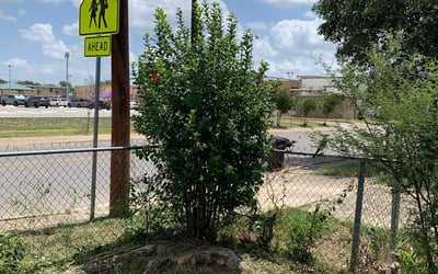 Photo of John C.'s yard after getting landscaping in Mc Queeney, TX