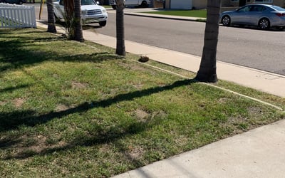 Photo of Benjamin W.'s yard after getting landscaping in Valley Center, CA