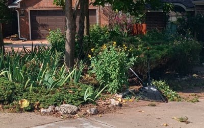 Photo of Debbie C.'s yard after getting landscaping in Newcastle, OK