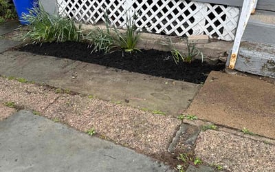 Photo of Kimberly P.'s yard after getting landscaping in Wilkes Barre, PA