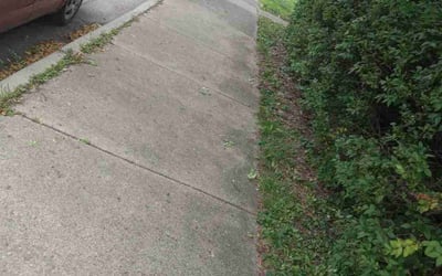 Photo of Jason M.'s yard after getting landscaping in Mount Gilead, OH