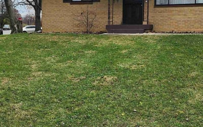 Photo of Linda B.'s yard after getting landscaping in Morgantown, IN