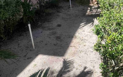 Photo of Julie S.'s yard after getting landscaping in Alturas, FL