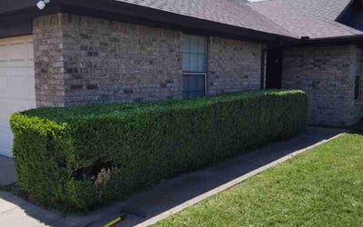 Photo of Miguel M.'s yard after getting landscaping in Peaster, TX