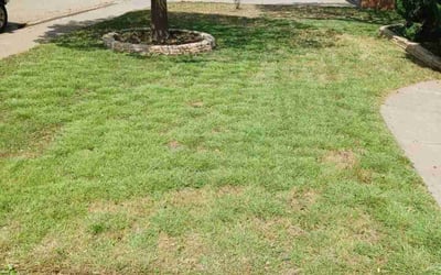 Photo of Liang H.'s yard after getting landscaping in Slaton, TX