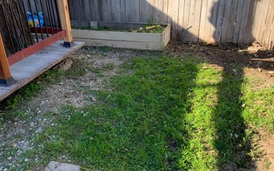 Photo of Mark C.'s yard after getting landscaping in Camino, CA