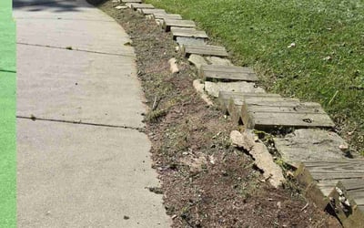 Photo of Toni C.'s yard after getting landscaping in Asheville, NC