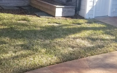 Photo of Krystle G.'s yard after getting landscaping in Copeville, TX