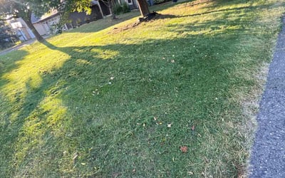 Photo of John A.'s yard after getting landscaping in Winthrop, MN
