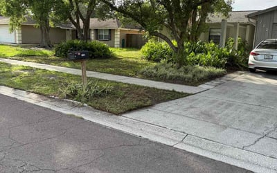 Photo of Monroe L.'s yard after getting landscaping in Brandon, FL