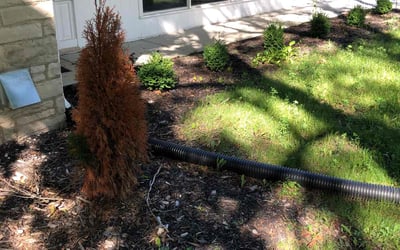 Photo of Josephine V.'s yard after getting landscaping in Colgate, WI