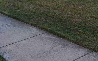 Photo of Isaiah V.'s yard after getting tree care in Suitland, MD