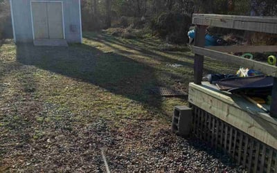 Photo of Louise A.'s yard after getting tree care in Hayes, VA