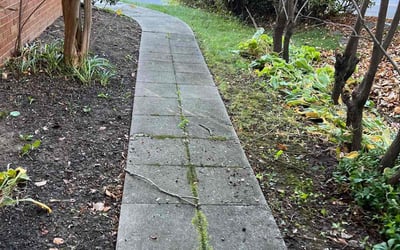 Photo of Robbin A.'s yard after getting tree care in Germantown, MD