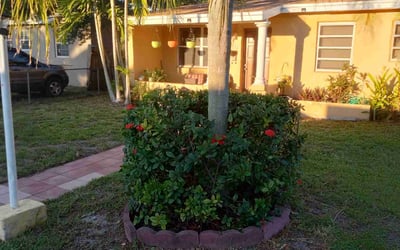 Photo of ELIZABETH F.'s yard after getting tree care in Key Biscayne, FL