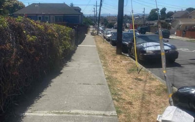 Photo of Alvin C.'s yard after getting landscaping in Oakland, CA