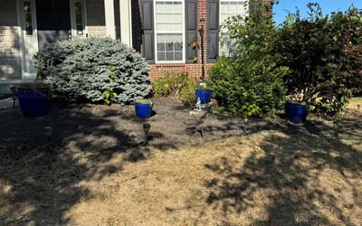 Photo of Matthew J.'s yard after getting tree care in Springfield, OH