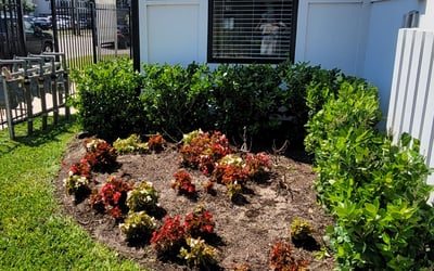 Photo of James M.'s yard after getting landscaping in Winnie, TX