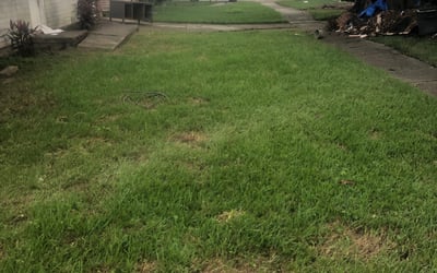 Photo of Taylor L.'s yard after getting landscaping in Pearl River, LA