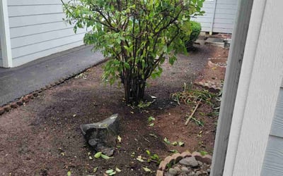 Photo of Rebecca R.'s yard after getting tree care in Portland, OR