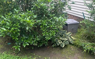 Photo of Kevin L.'s yard after getting landscaping in Chesapeake, VA