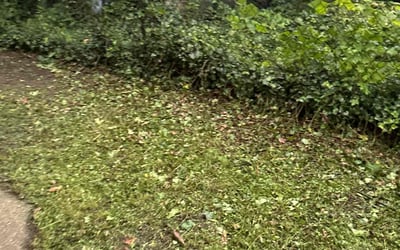 Photo of Austin S.'s yard after getting landscaping in South Solon, OH