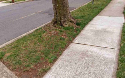 Photo of Edward F.'s yard after getting landscaping in Oakland, NJ