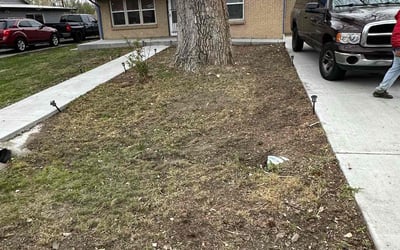 Photo of Tassi J.'s yard after getting landscaping in Georgetown, CO
