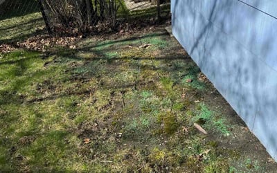 Photo of Vincent C.'s yard after getting landscaping in Tonawanda, NY