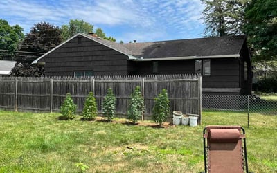 Photo of Meg R.'s yard after getting landscaping in Oswego, NY