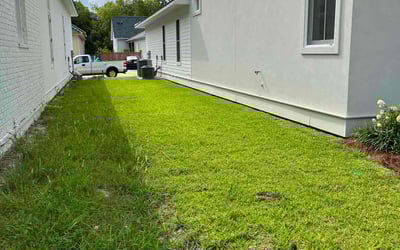 Photo of Evelyn S.'s yard after getting landscaping in Geismar, LA