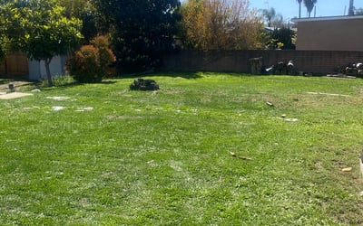 Photo of Erin D.'s yard after getting landscaping in Rancho Santa Fe, CA