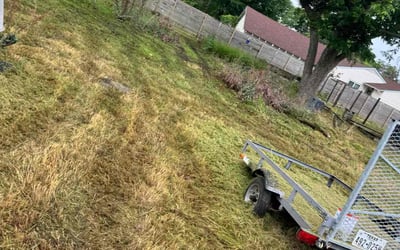 Photo of Teresa P.'s yard after getting landscaping in Farmersville, TX