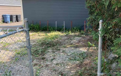 Photo of Shanna B.'s yard after getting landscaping in Arlington, MN