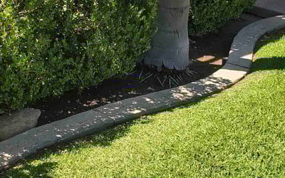 Photo of Joseph R.'s yard after getting landscaping in Desert Hot Springs, CA