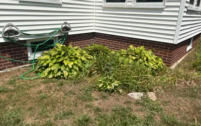 Photo of Michael C.'s yard after getting landscaping in Warwick, RI