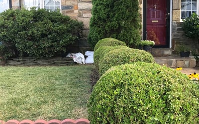 Photo of Michele M.'s yard after getting landscaping in Upperville, VA