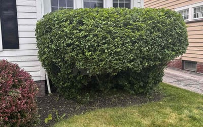 Photo of Kyle S.'s yard after getting landscaping in Perry, OH