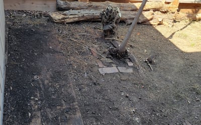 Photo of Adam A.'s yard after getting landscaping in Acampo, CA