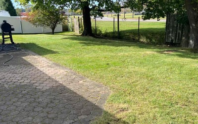 Photo of Erika B.'s yard after getting landscaping in Southport, CT