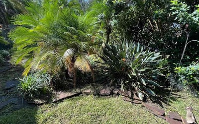 Photo of Andrew M.'s yard after getting landscaping in Tangerine, FL