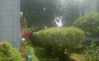 Photo of Anita O.'s yard after getting landscaping in Mahopac, NY