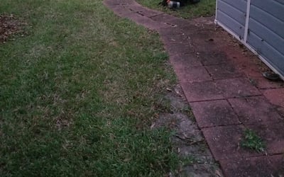 Photo of David L.'s yard after getting landscaping in Folsom, LA